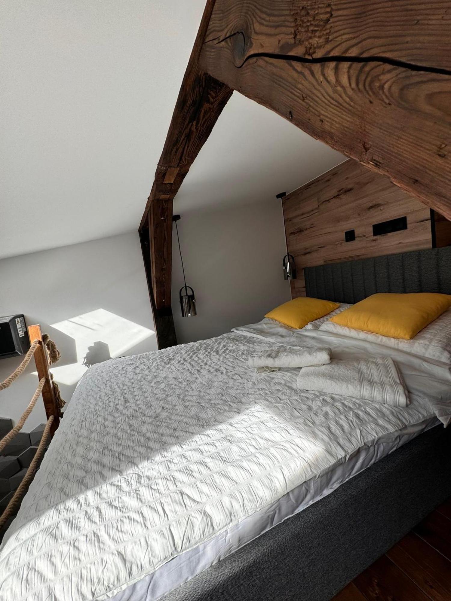 Loft In The City Center By Kobiela Apartments Катовіце Екстер'єр фото